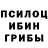 Галлюциногенные грибы Psilocybine cubensis Latka Gravas