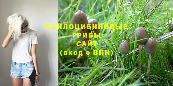 молекула духа Губаха