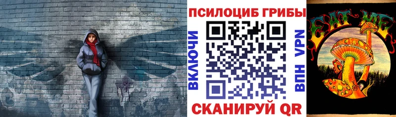 Псилоцибиновые грибы Psilocybine cubensis  Георгиевск 